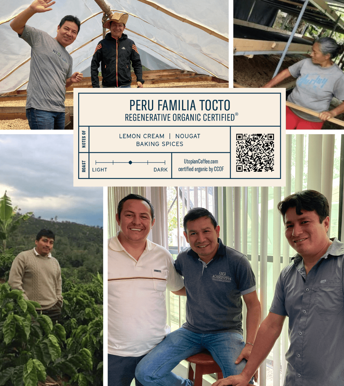 Peru Familia Tocto - Regenerative Organic Certified®
