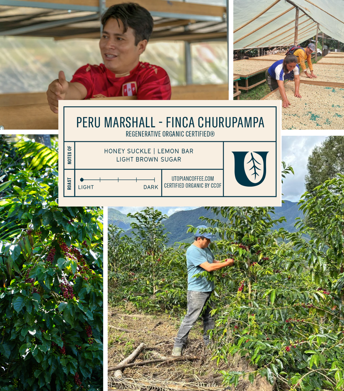Peru Marshall Finca Churupampa - Regenerative Organic Certified®